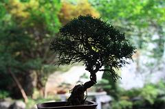 841-Hangzhou,18 luglio 2014
